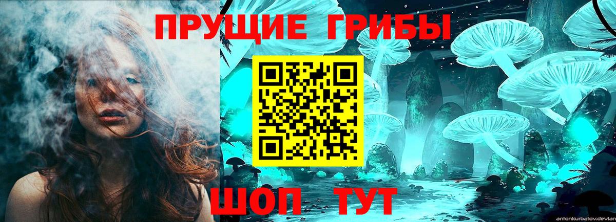 Галлюциногенные грибы Magic Shrooms  Псилоцибиновые грибы ЛСД  Вход с VPN  Чистополь 